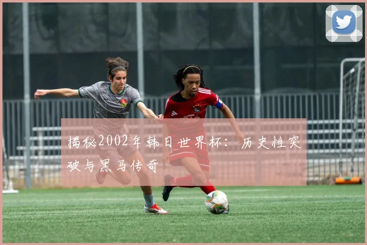 揭秘2002年韩日世界杯:历史性突破与黑马传奇