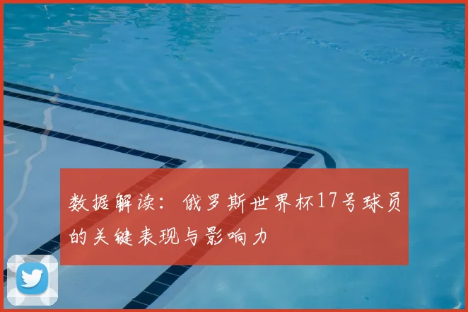 数据解读：俄罗斯世界杯17号球员的关键表现与影响力
