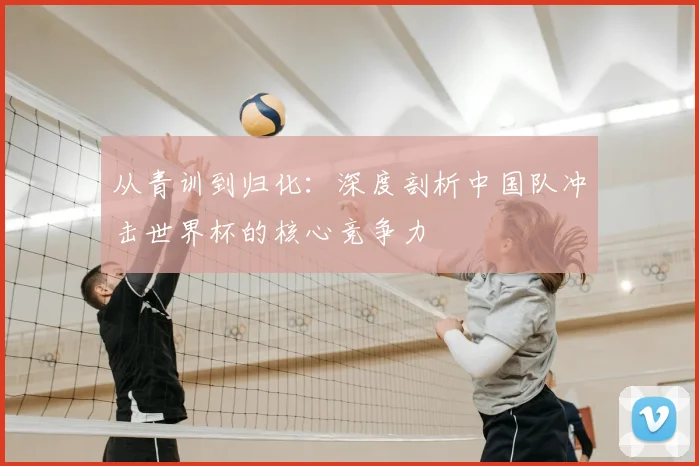 从青训到归化：深度剖析中国队冲击世界杯的核心竞争力