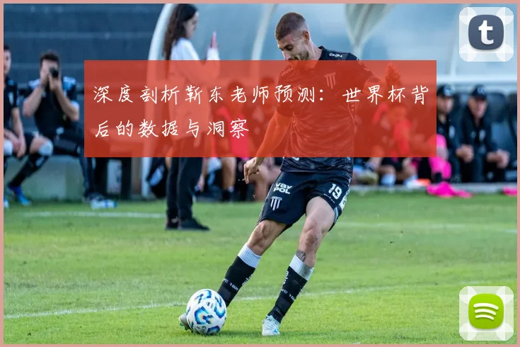 深度剖析靳东老师预测：世界杯背后的数据与洞察